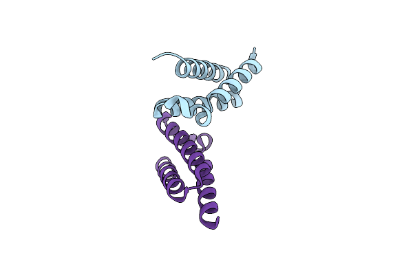 3T47 image