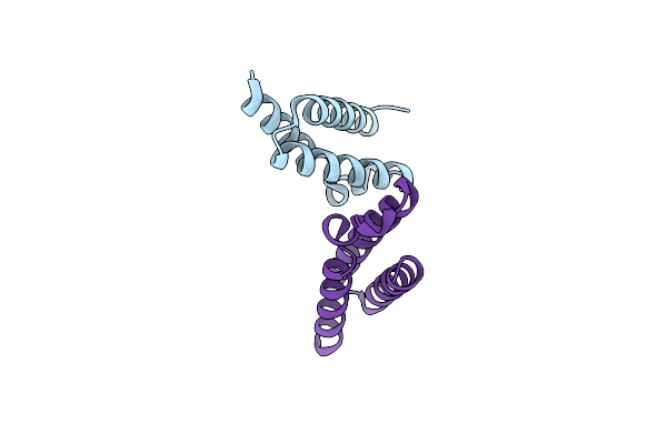 3T48 image