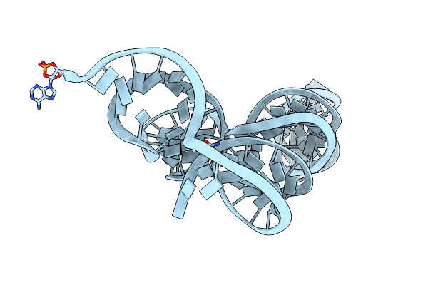 3T4B image