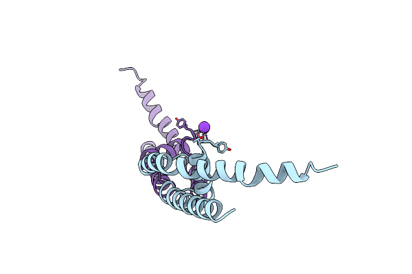 3T4D image