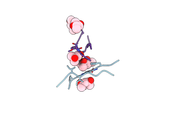 3T4G image