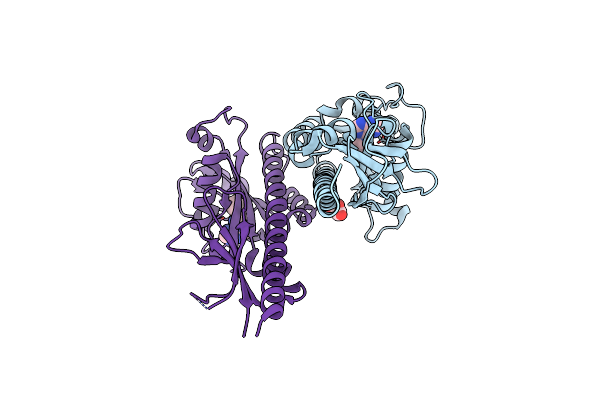 3T4K image