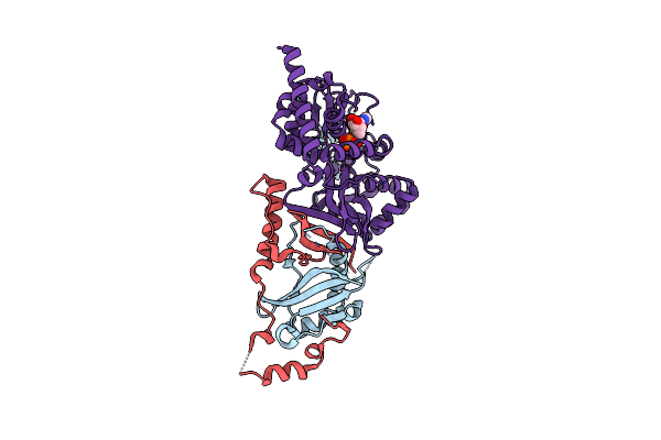 3T4N image
