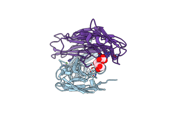 3T4Y image