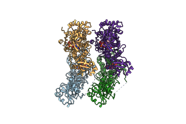 3T58 image