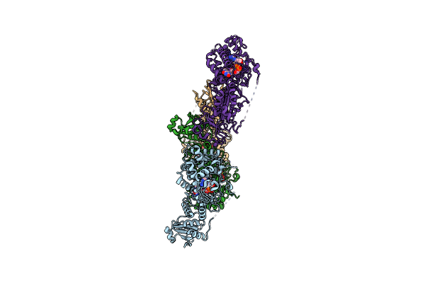 3T59 image