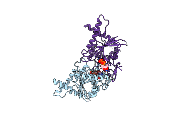 3T5D image