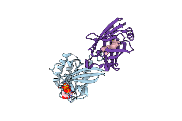 3T5G image