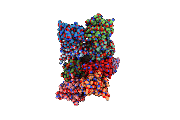 3T5W image