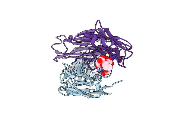 3T65 image
