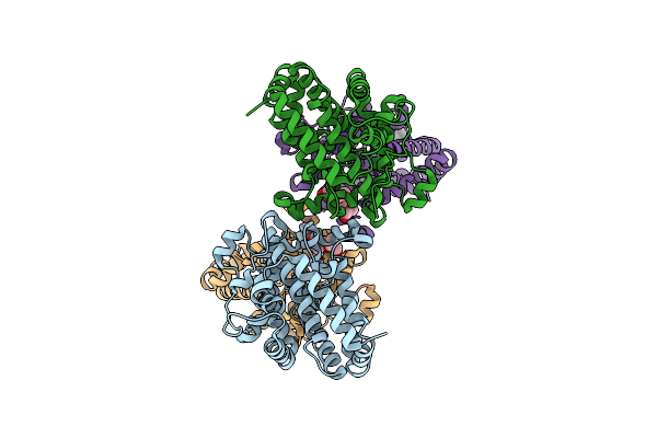 3T6A image