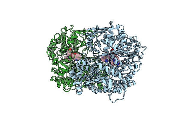 3T6B image
