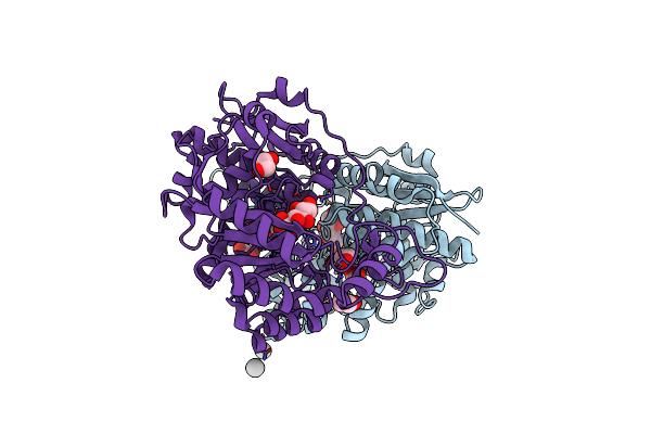 3T6C image