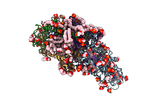 3T6D image