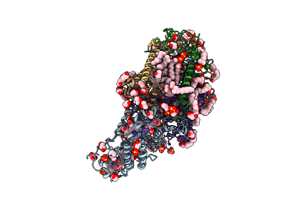 3T6E image