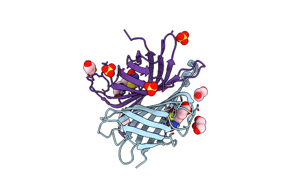 3T6F image