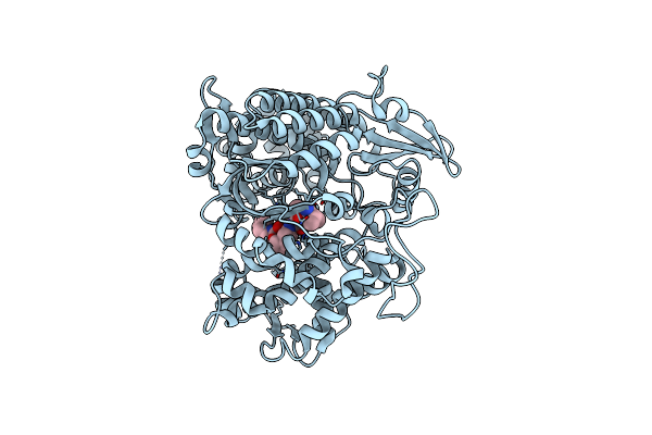 3T6J image