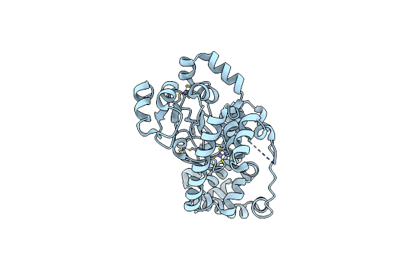 3T6P image