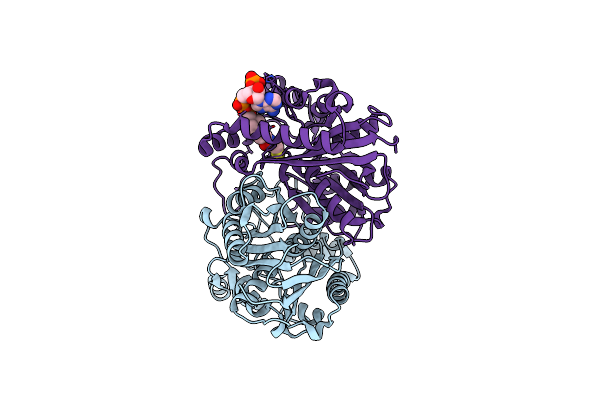 3T6S image