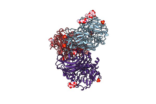 3T6Z image
