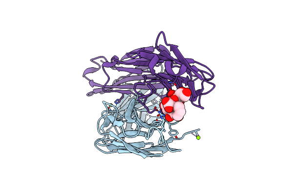 3T77 image