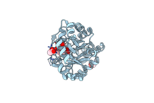 3T78 image