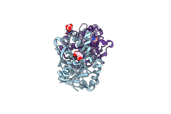 3T7B image