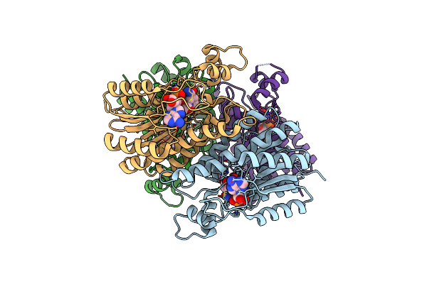 3T7C image