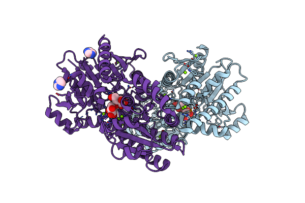 3T7D image