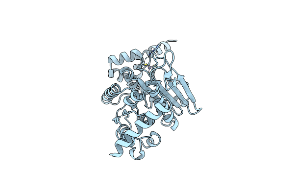 3T7E image