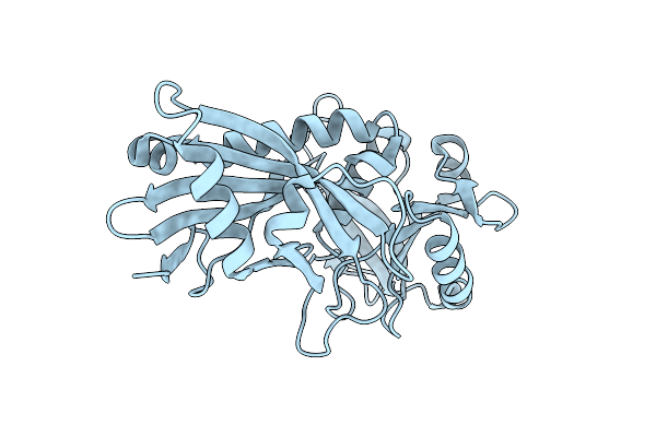 3T7F image