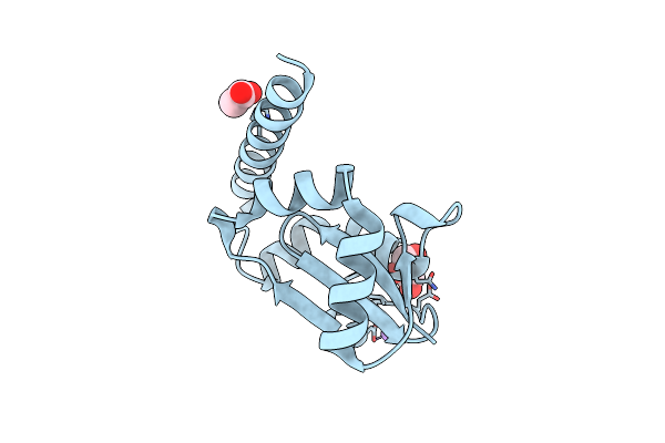 3T7Z image
