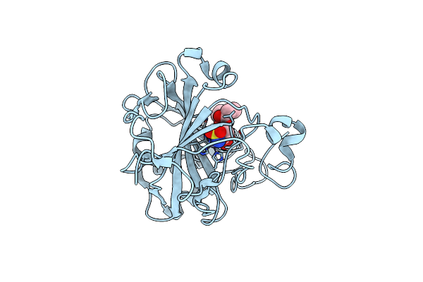 3T83 image