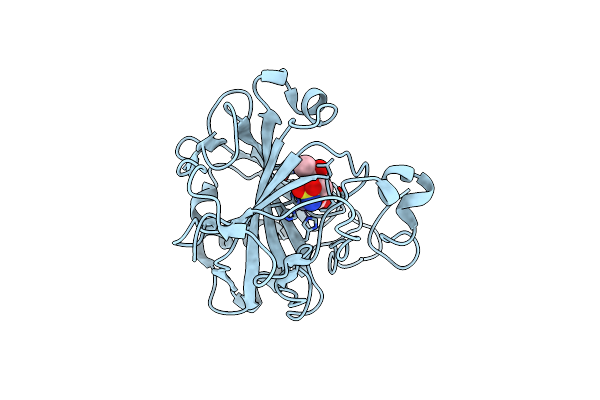 3T84 image