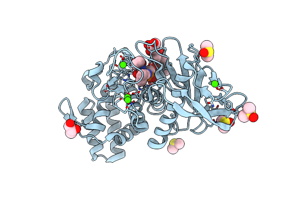 3T87 image