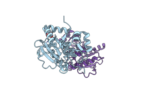 3T8B image