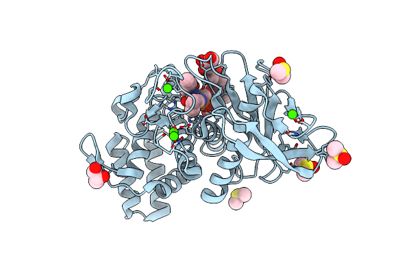 3T8C image