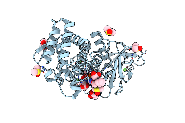 3T8D image