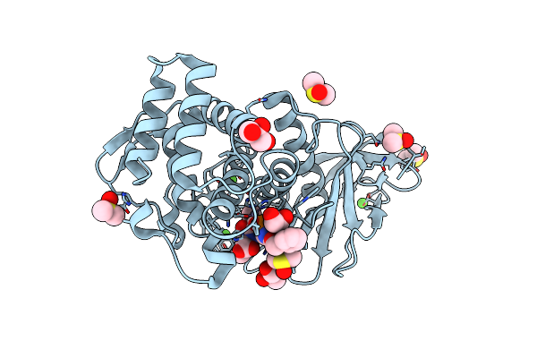 3T8H image