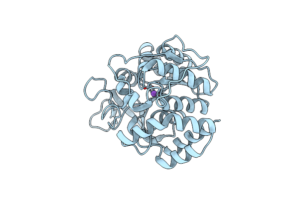 3T8J image