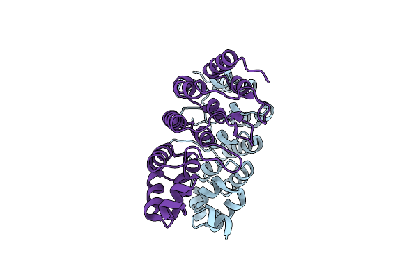 3T8K image
