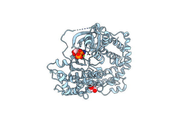 3T8O image