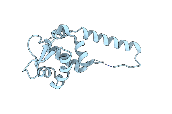 3T8T image