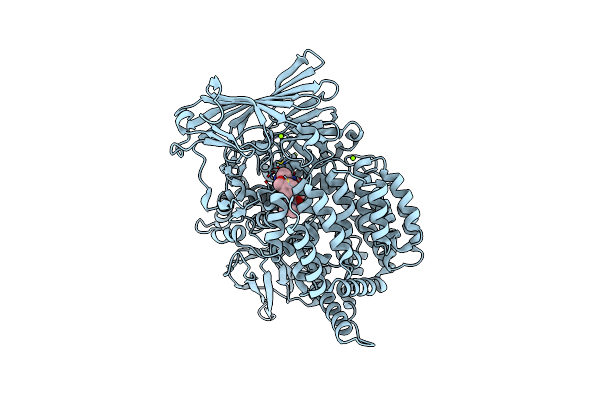3T8V image