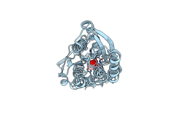 3T95 image