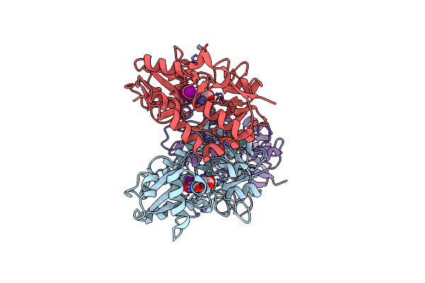 3T96 image