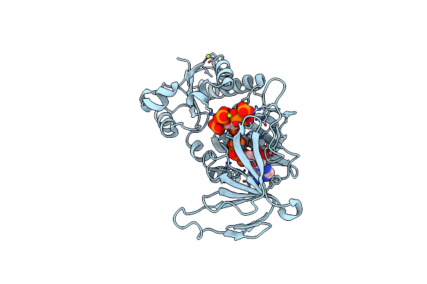3T9D image