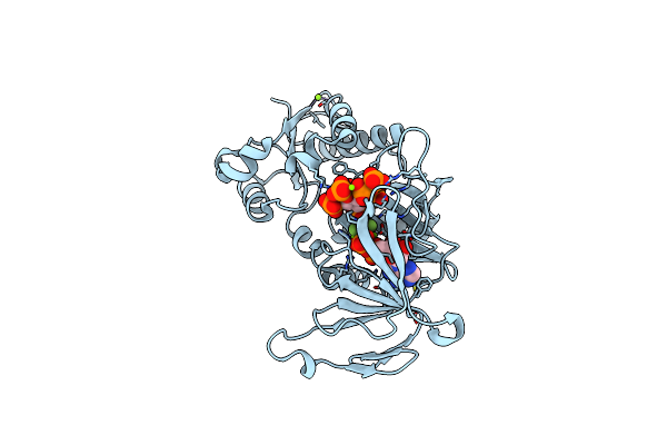 3T9E image