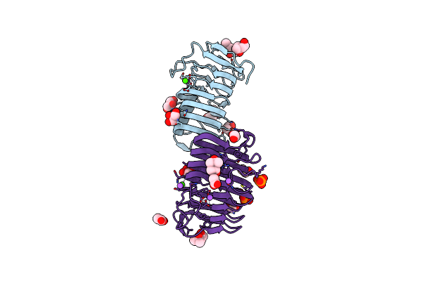 3T9G image