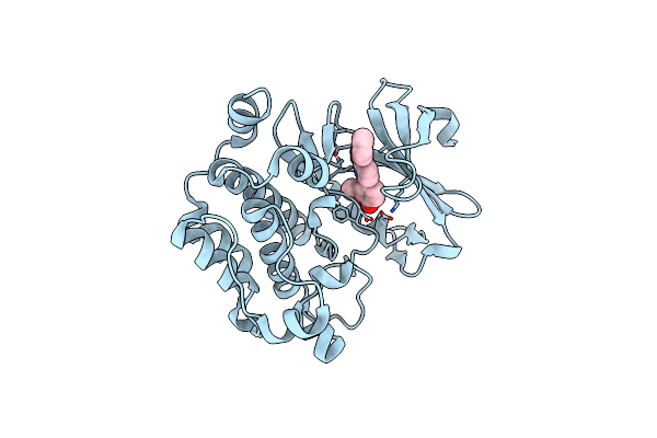 3T9I image